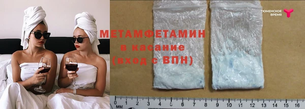 хмурый Пересвет