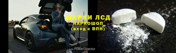 ГАЛЛЮЦИНОГЕННЫЕ ГРИБЫ Абаза