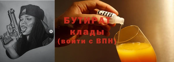 хмурый Пересвет