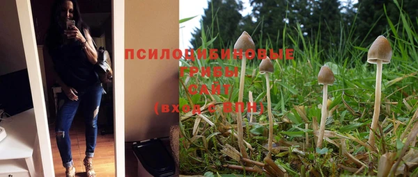 кокаин премиум Алексеевка