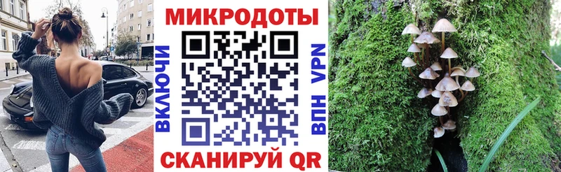Псилоцибиновые грибы мухоморы  наркота  Устюжна 